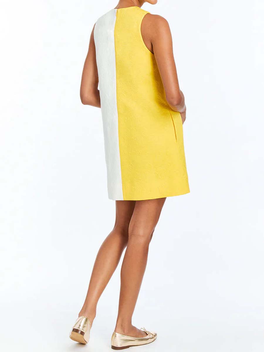 Sleeveless Color-blocked Mini Dress